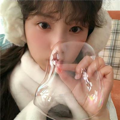 狐及其友